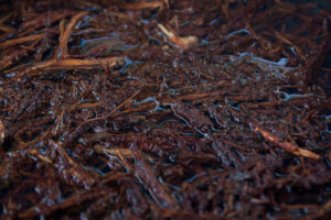 ayahuasca adverse effects mental health efectos adversos salud mental ICEERS